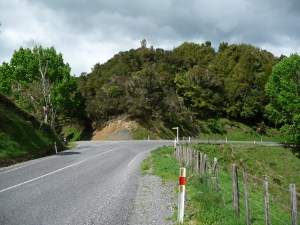 The Forgotten World Highway