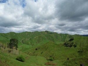 Forgotten World Highway