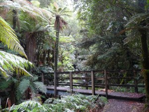 Bridge leading to Joshua Morgan's grave