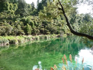 Beautiful Lake Waikaremoana