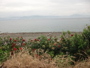 Looking towards Paraparaumu from Kapiti Island