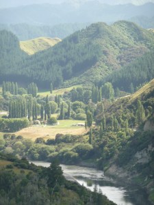 Whanganui river