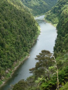 Whanganui river