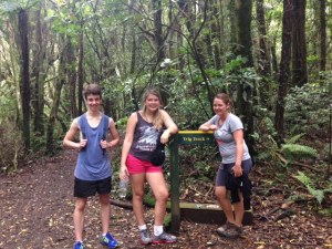 Meeting place of the Trig and Wilkinson Tracks, halfway up Tuteremoana