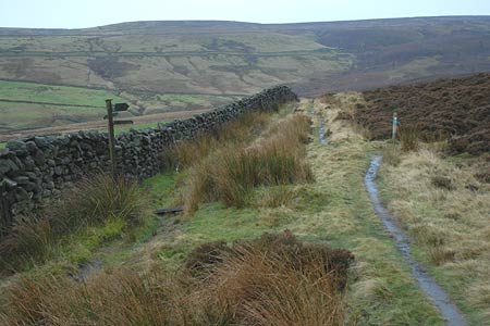 Haworth moors