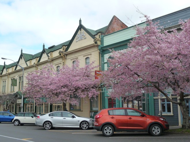 Spring in Ridgeway Street, Wanganui