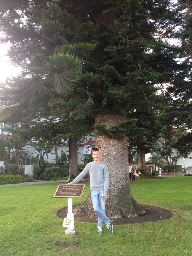 First illuminated Christmas tree in the world - Hotel del Coronado