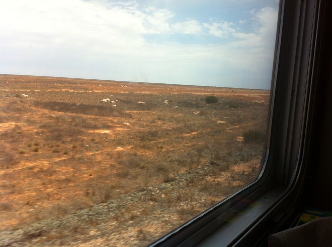 Nullarbor Plain from the Indian Pacific