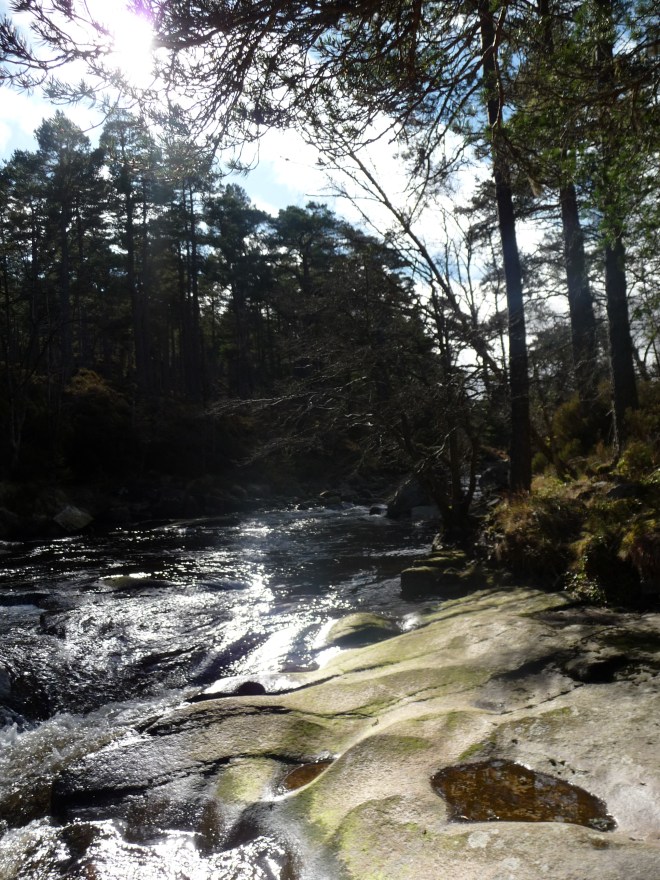 Dee river, Glen Tanar estate